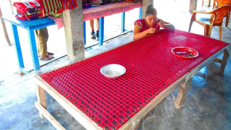 Explore Kuakata Rakhine Village